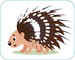 baby porcupine shows sharp quills clipart
