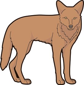 brown coyote black lined clipart