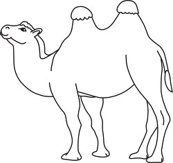 camel double humped furry black outline clipart