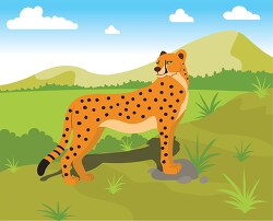 cheetah standing in open land in africa
