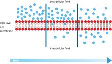 Science Clipart