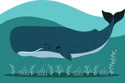 large spermwhale swimming under the ocean clipart