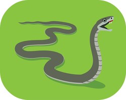 mamba highly venomous snake shows fangs clipart