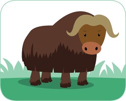 musk ox hoofed animal in arctic clipart