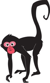 spider monkey shows long curly tail gray color clipart