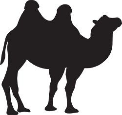 two humped bactrian camel black silhouette
