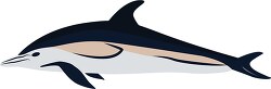 vector illustration of dolphin clipart
