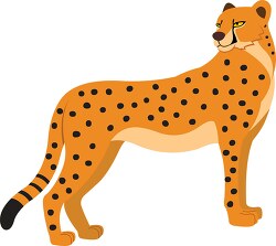 worlds fastest animal african spotted cheetah clipart