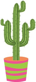 tall cactus in a ceramic planter pot clipart