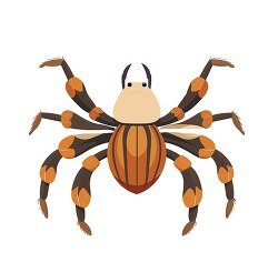 tarantula spider vector