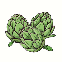 three artichokes with tightly packed leaves clip art