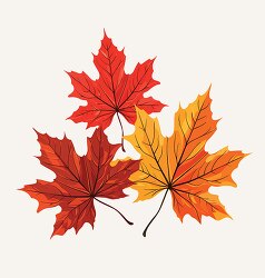 three colorful maple leaves clipart
