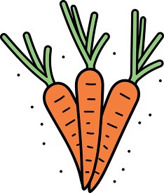 three hand drawn carrots