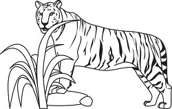 tiger black outline clipart 05