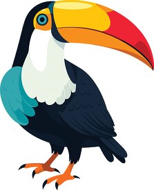 toucan brightly colored birds with large distinctive bill