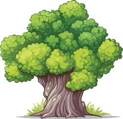 tree with a lush green canopy and thick brown branches clip art