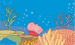 tropical coral reef an underwater ecosystem biome clip art
