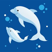 Two beluga whales swim gracefully in a blue ocean surrounded by 