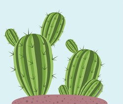 two growing cactus vector clipart