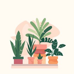 variety of house_plants