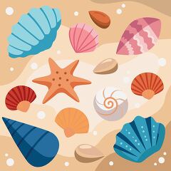 variety of seashells on the beach