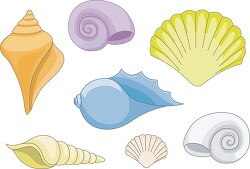 variety seashells clipart with white background clipart 5734