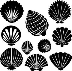 Various seashell silhouettes including spirals and clams in a sh