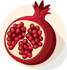 Vector illustration of a ripe pomegranate