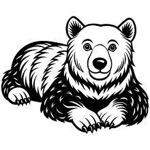 vector with stylized strokes of a bear lying down