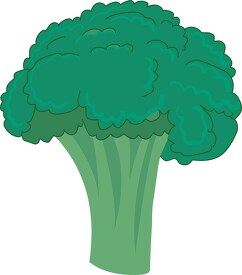vegetables broccoli spear