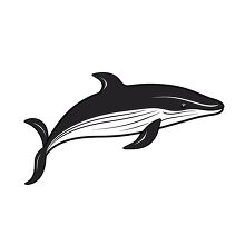 whale marine animal black outline clip art