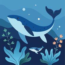 whale with her baby swimming through an ocean filled with kelp