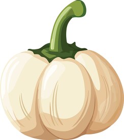 white garlic on a white background clip art