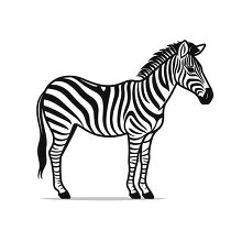 zebra animal black outline clip art
