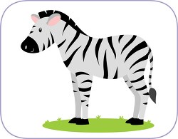 Zebra Animal Clipart