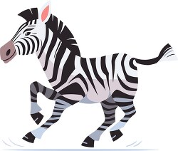 zebra full body running playful