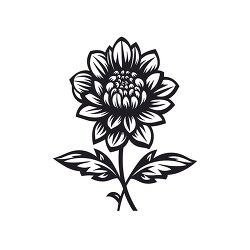 zinnia flower with stem and leaf black outline