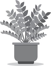 zz zanzibar gem house plant gray color clip art