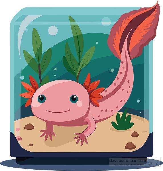 Adorable axolotl in a glass tank surrounded by underwater plants