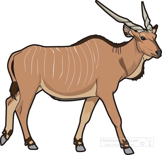 african eland large antelope with spiral horn clipart
