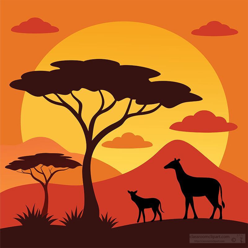 african savanna giraffes silhouetted against a orange sunset