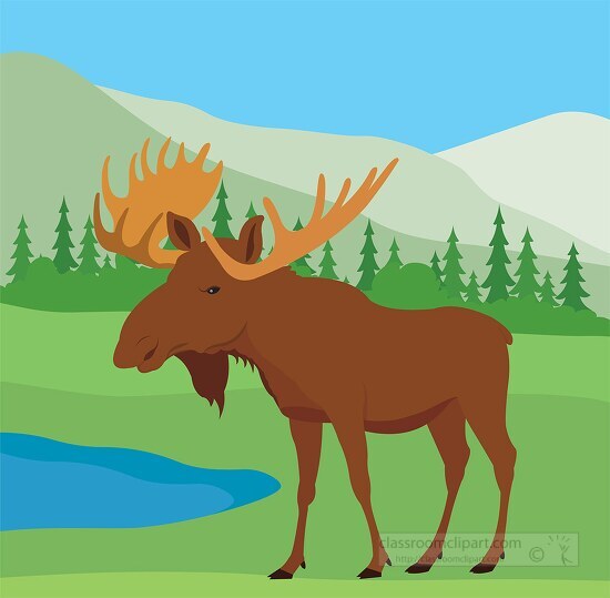alaskan moose in near lake in natural environment clipart