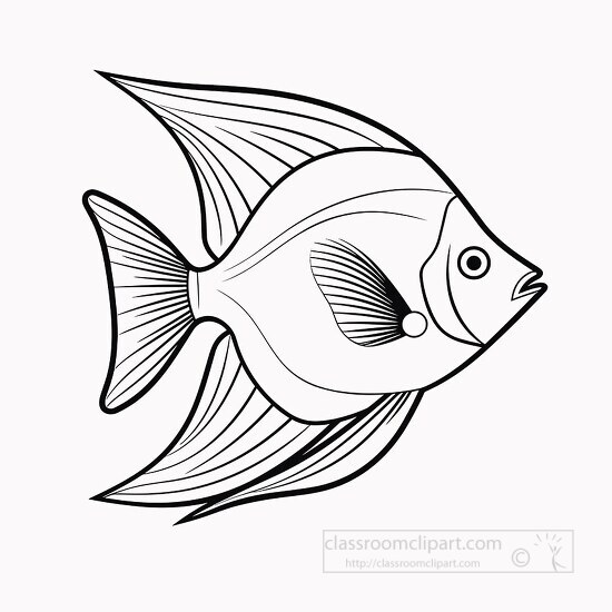 black and white angel fish clip art