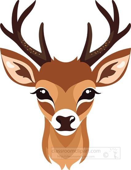 animal face deer