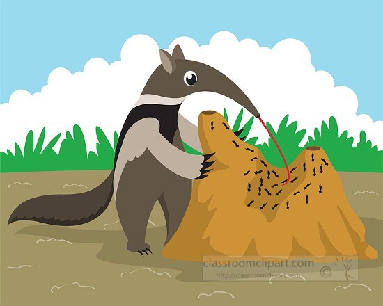 Anteater standing over a large termite mound Clipart