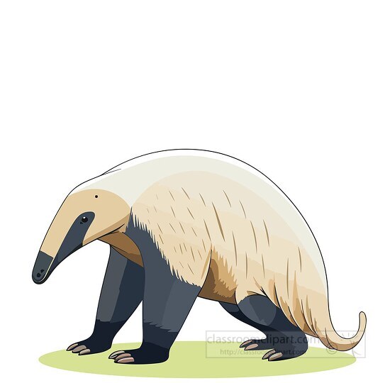 Anteater with protective thick shaggy fur
