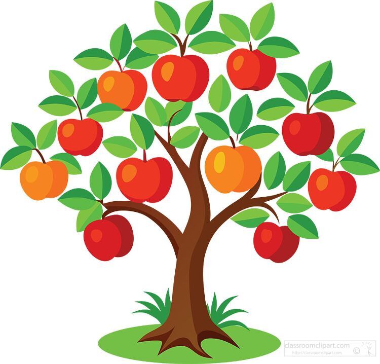 apple tree with red and yellow apples transparent png