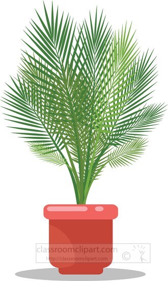 Areca Palm House Plant Clipart