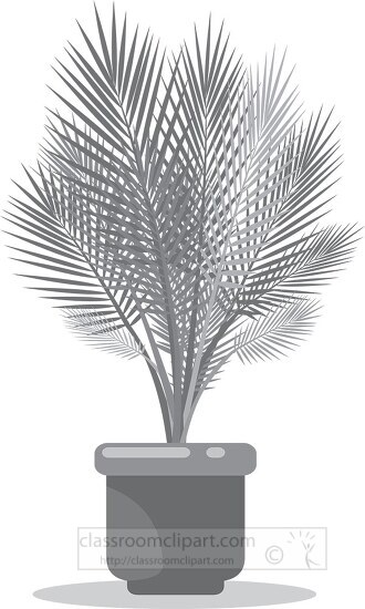 areca palm house plant gray color clip art