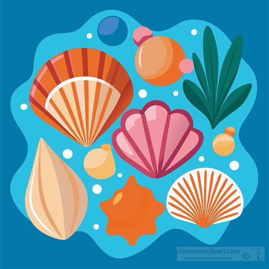 assortment of colorful seashells and sea plants